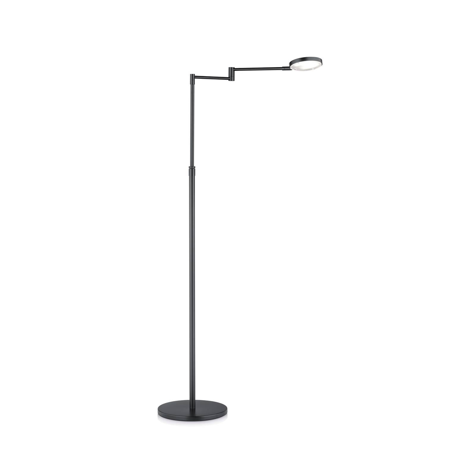 Knapstein LED stojací lampa Caro, 1 světlo, černá