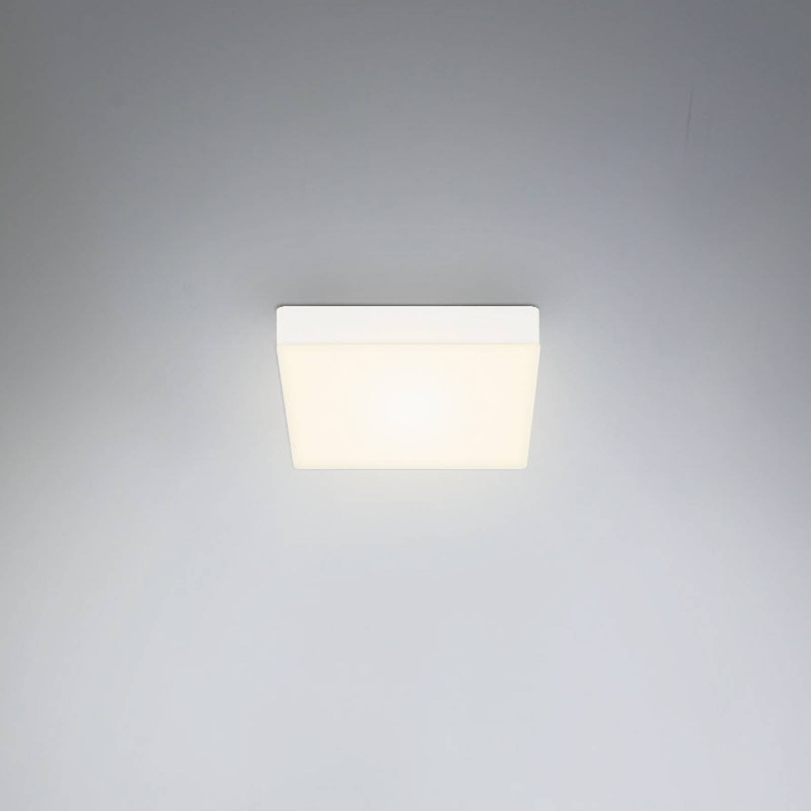 Briloner Stropní svítidlo LED Flame, 15,7 x 15,7 cm, bílé