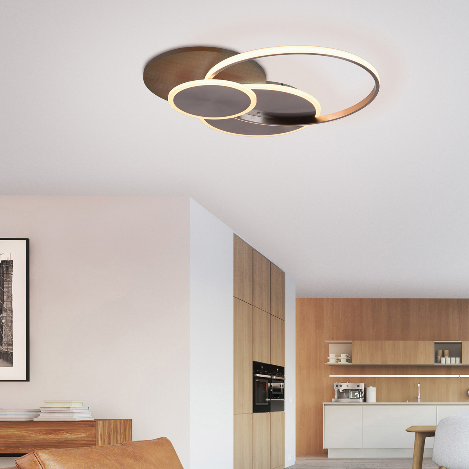 Paul Neuhaus Palma LED Ceiling Lamp CCT Round Lights Co Uk