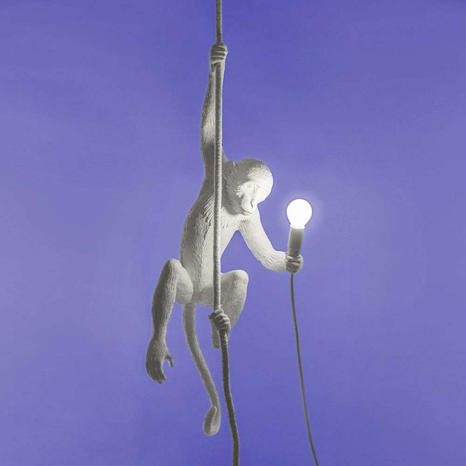 Monkey With Rope Utomhus Taklampa Svart - Seletti