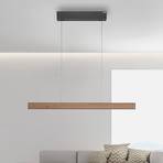 PURE E-Motion LED závěsné světlo nosník, CCT dřevo