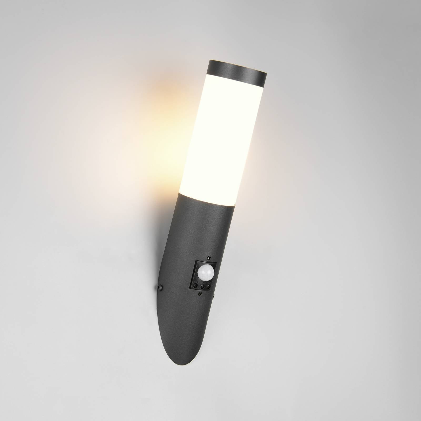 Trio Lighting Applique d'extérieur Trioto, noir mat, 39 cm en acier inoxydable, capteur