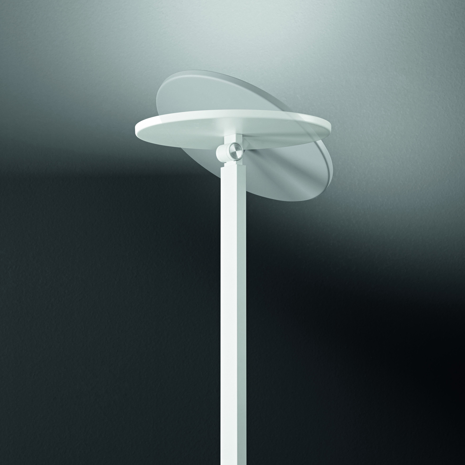 Regina lámpara de pie LED, blanca, CCT, atenuable, altura 180 cm