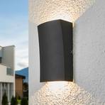 LED udendørs væglampe Jiline med 2 lyskilder