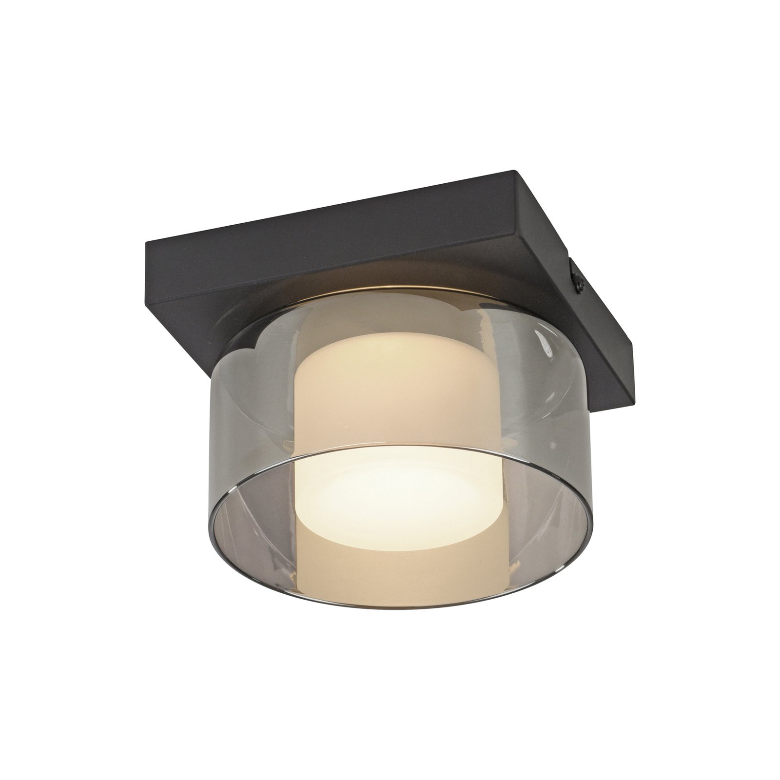 Paul Neuhaus plafondlamp Rika, zwart, lengte 15 cm