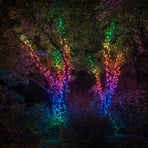 "Twinkly RGB" pasakų žibintai, juodi, 400 šviesų, 32 m