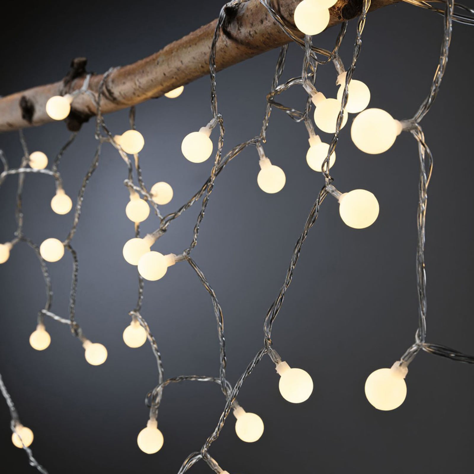 Paulmann Plug & Shine Cadena de luces LED mini