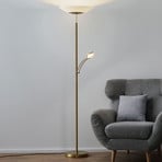 Paul Neuhaus LED floor lamp Alfred, brass-coloured, dimmable