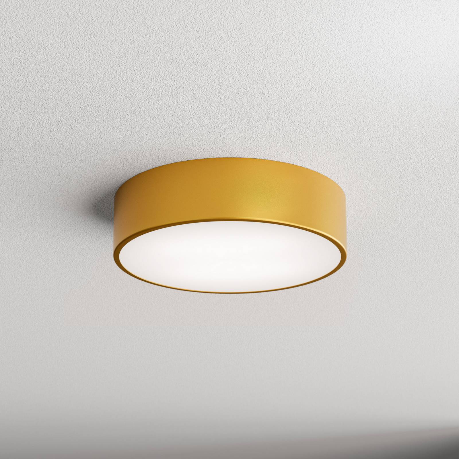 TEMAR LIGHTING Plafonnier Cleo 300, IP54, Ø 30 cm doré