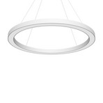 LED pendant light Cerchio DALI 940 up/down