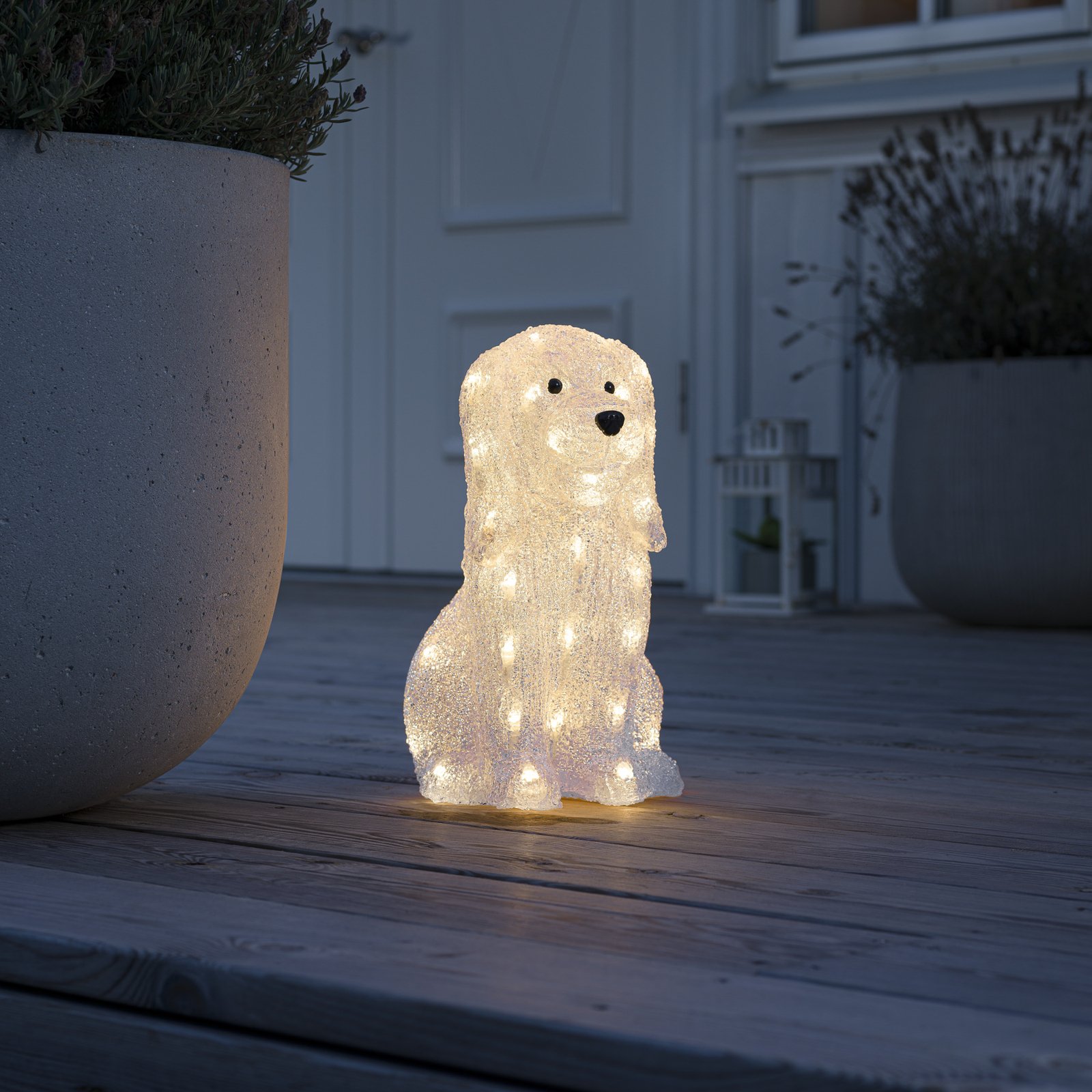 Figura luminosa LED cane