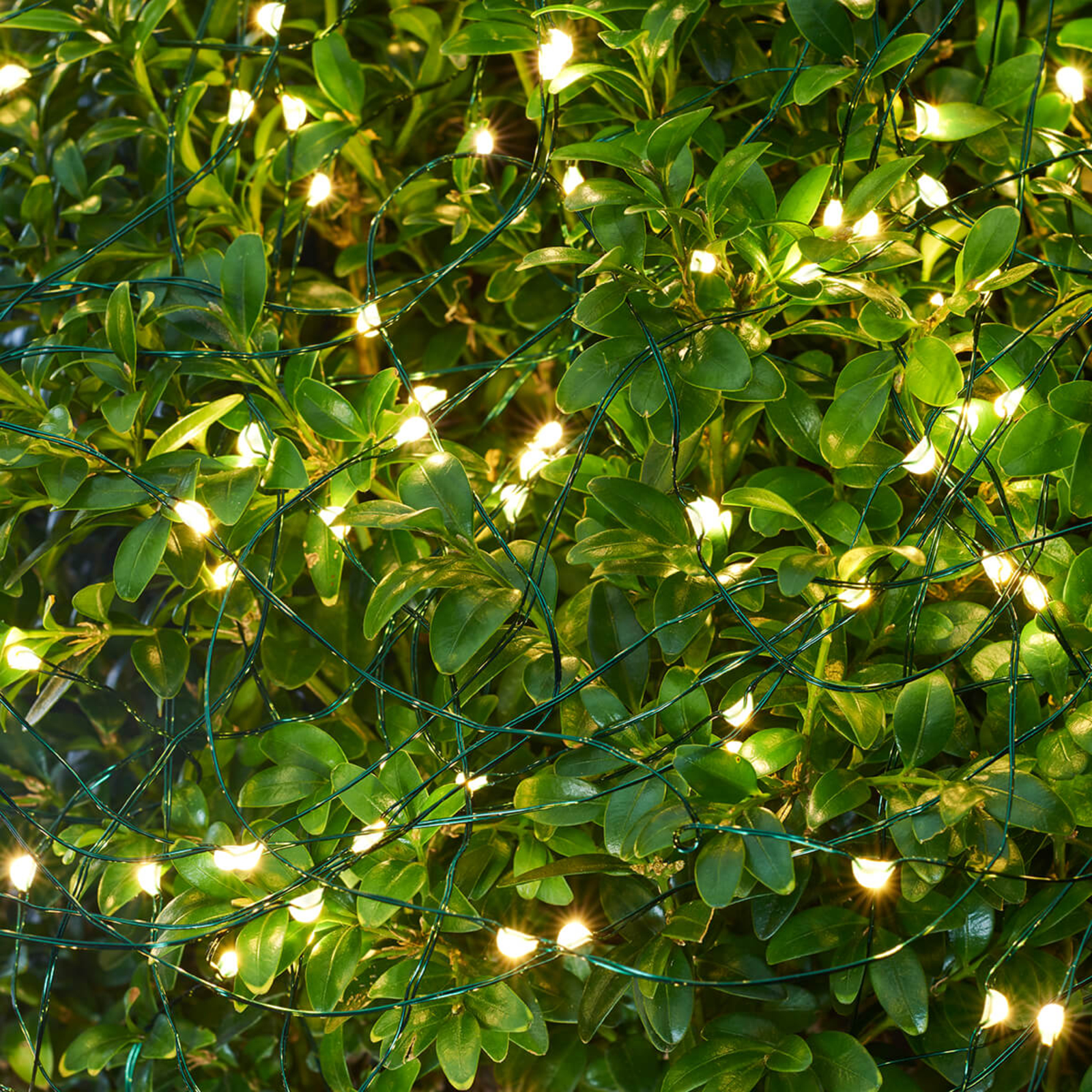 Guirlande LED Knirke pour l’extérieur, 160 lampes