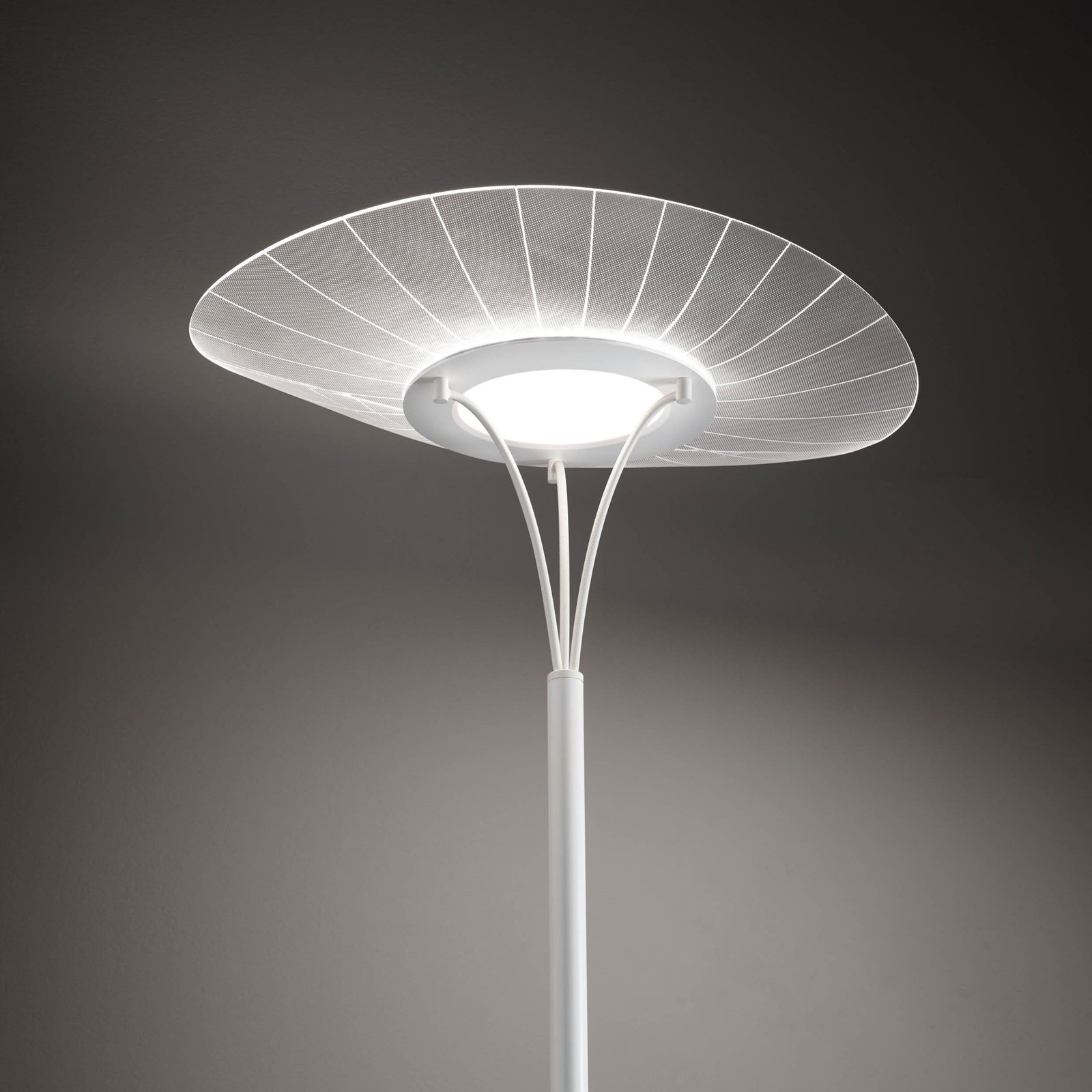 LED подова лампа Vela, бяла/прозрачна, 175 см, акрил, димер