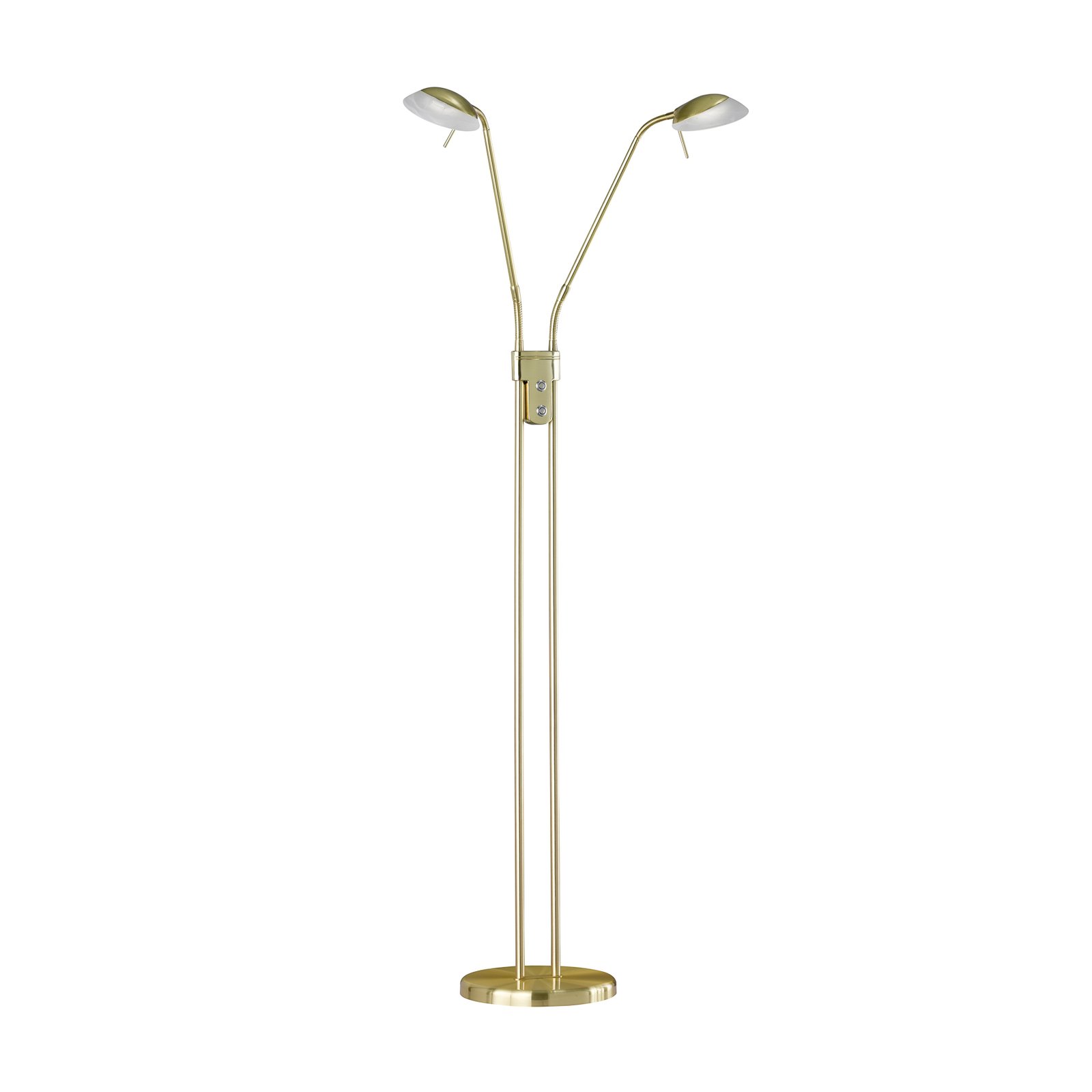 LED floor lamp Pool, brass-coloured, height 160 cm, 2-bulb.