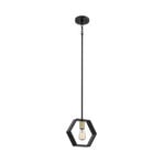 Bismarck pendant light, 1-bulb