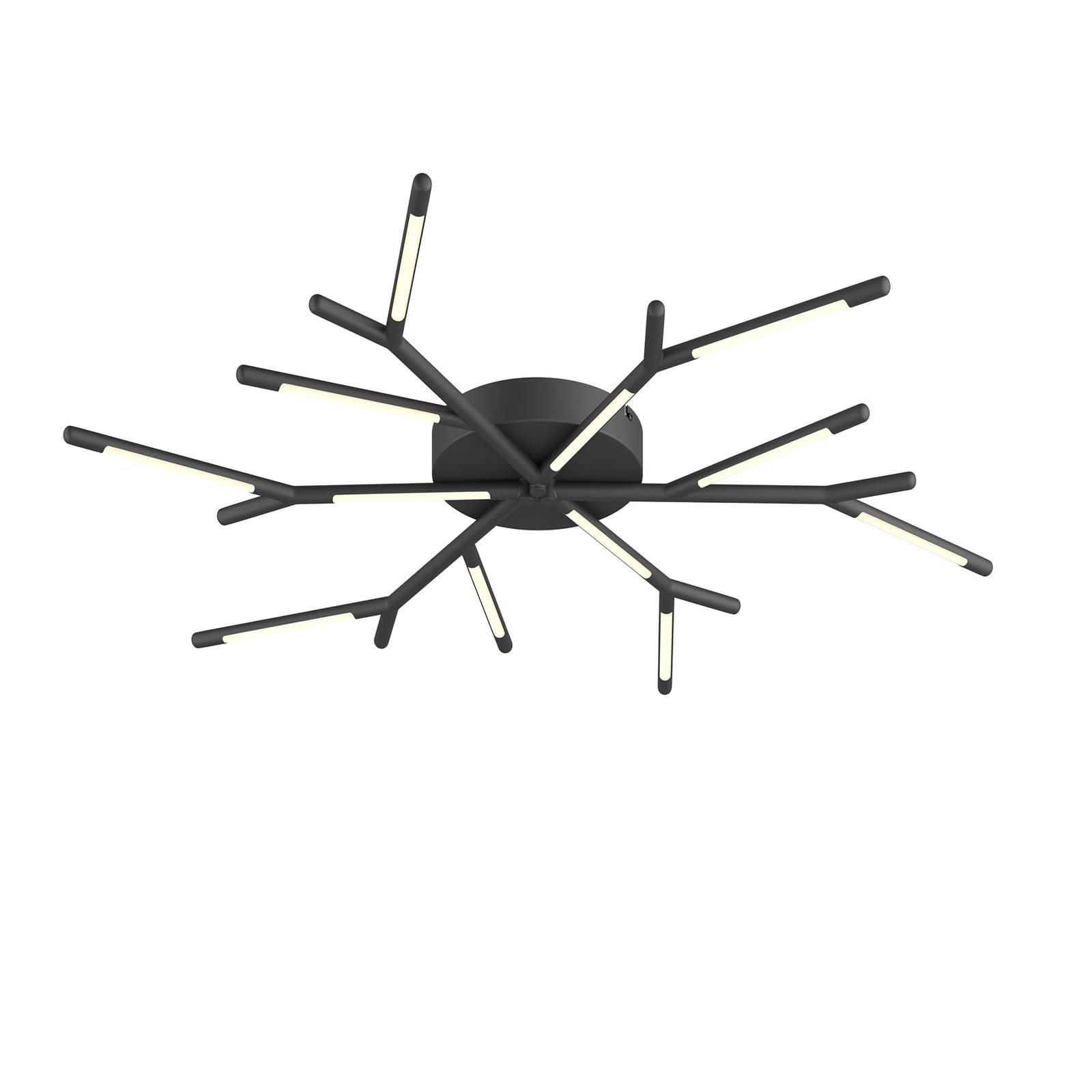 Lucande Cuerno LED ceiling light, black and white, for Living / Dining Room, Iron, polycarbonate, 36 W, H: 7 cm