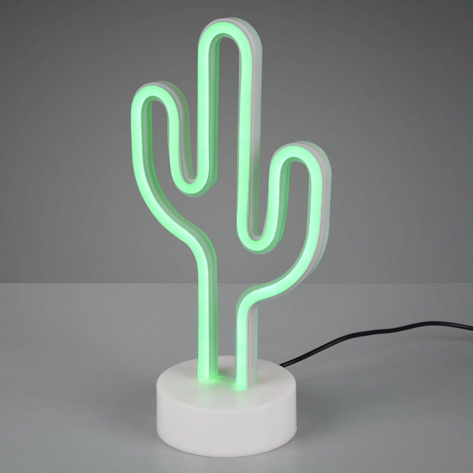 Cactus decorative light
