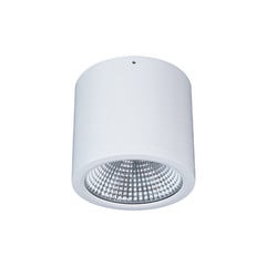 LED nadgradna svjetiljka Button Mini 200 IP54 55° 24 W