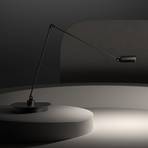 Lumina Daphine Cloe LED-Tischlampe 3.000K, schwarz