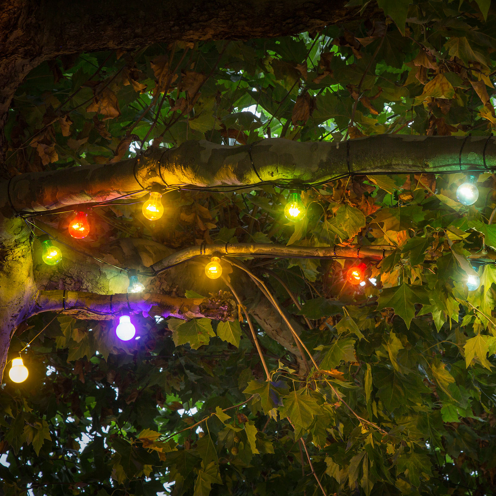 LED gaismas ķēdes alus dārza pamatkomplekts, krāsains
