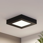 Prios Alette LED-Deckenlampe, schwarz, CCT