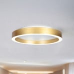 LED-taklampe Ringlux gullfarget, Ø 30 cm, metall, 2700 K