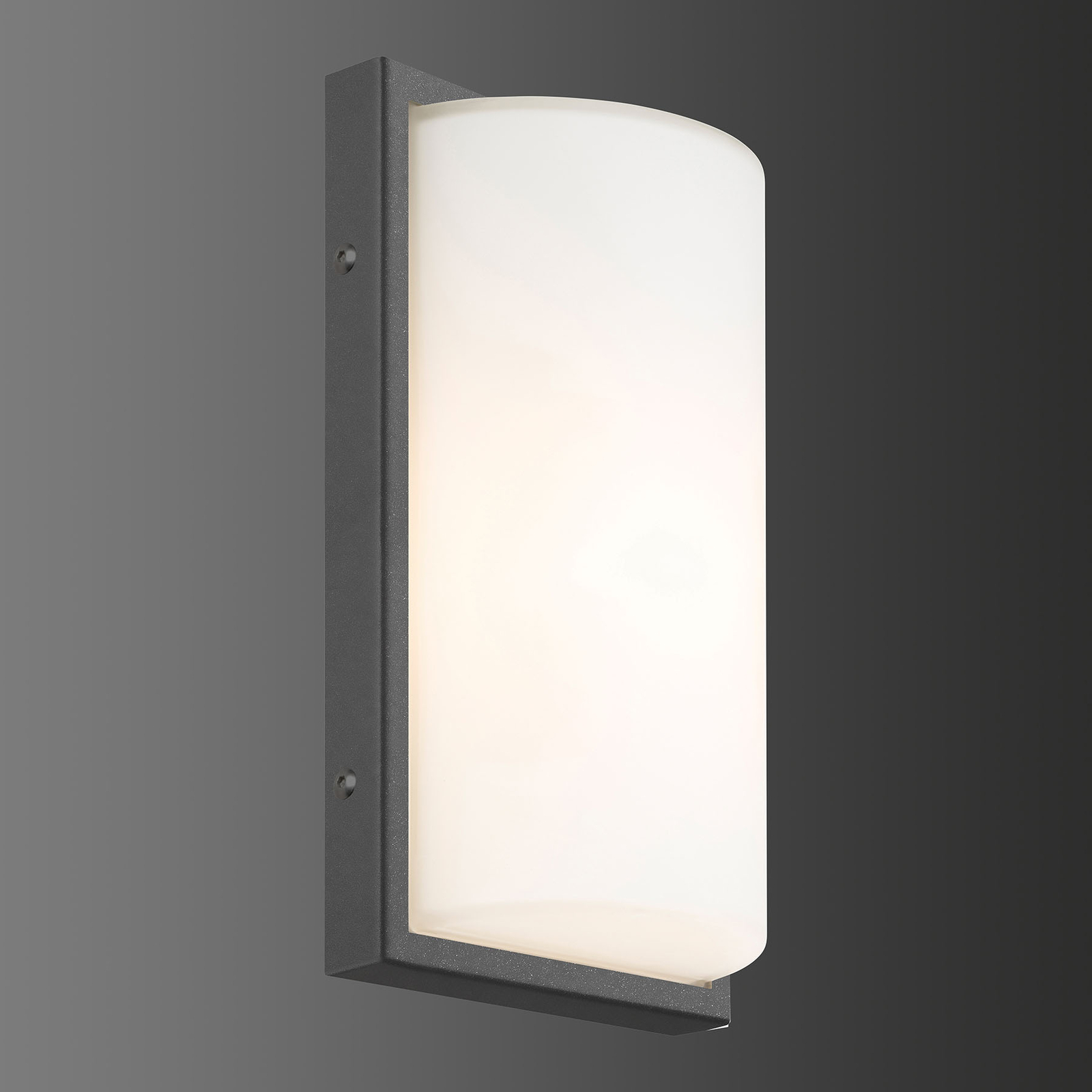 039 outdoor wall light, stainless steel, graphite