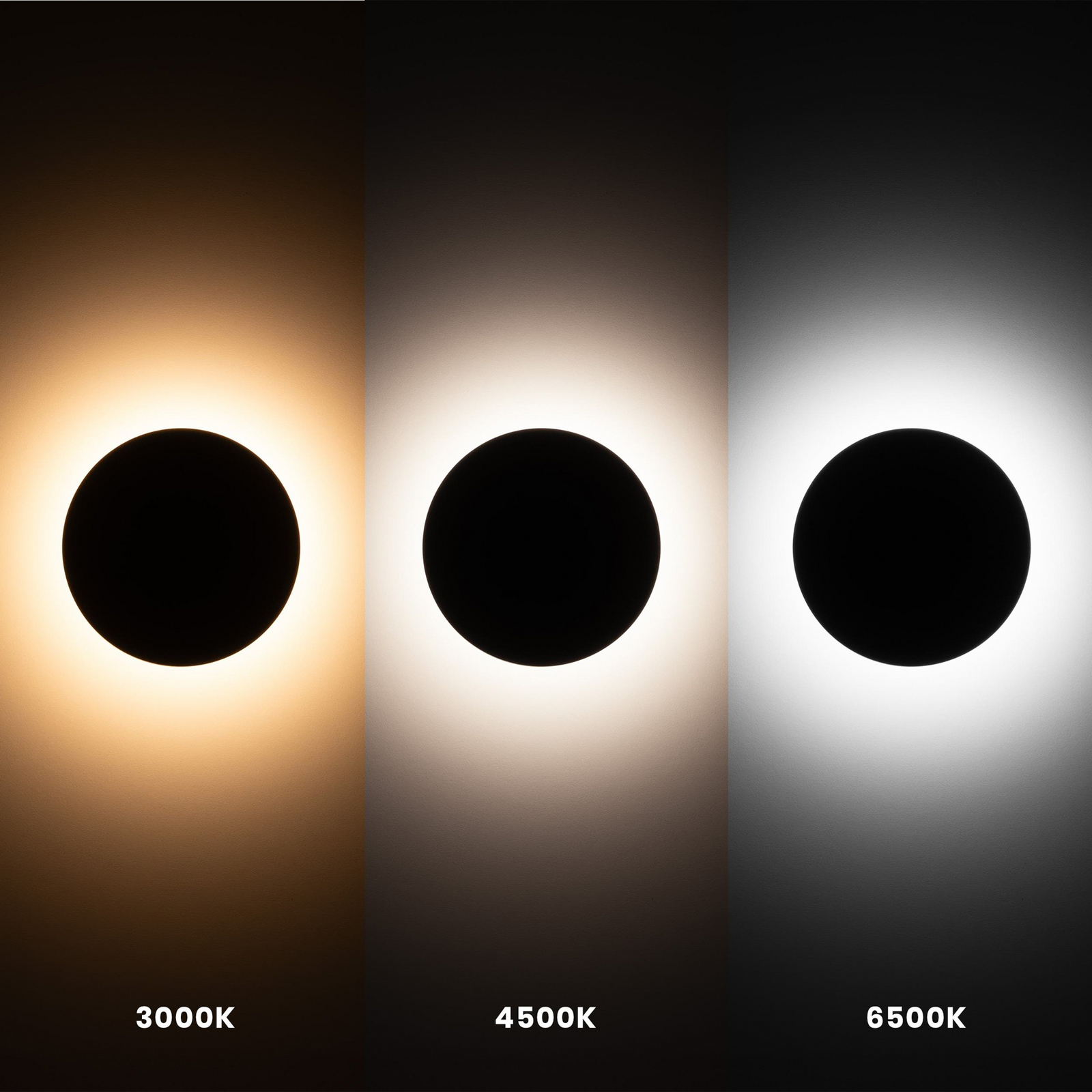 LED fali világítás Disk, Ø 18cm, fekete, műanyag, IP65, CCT