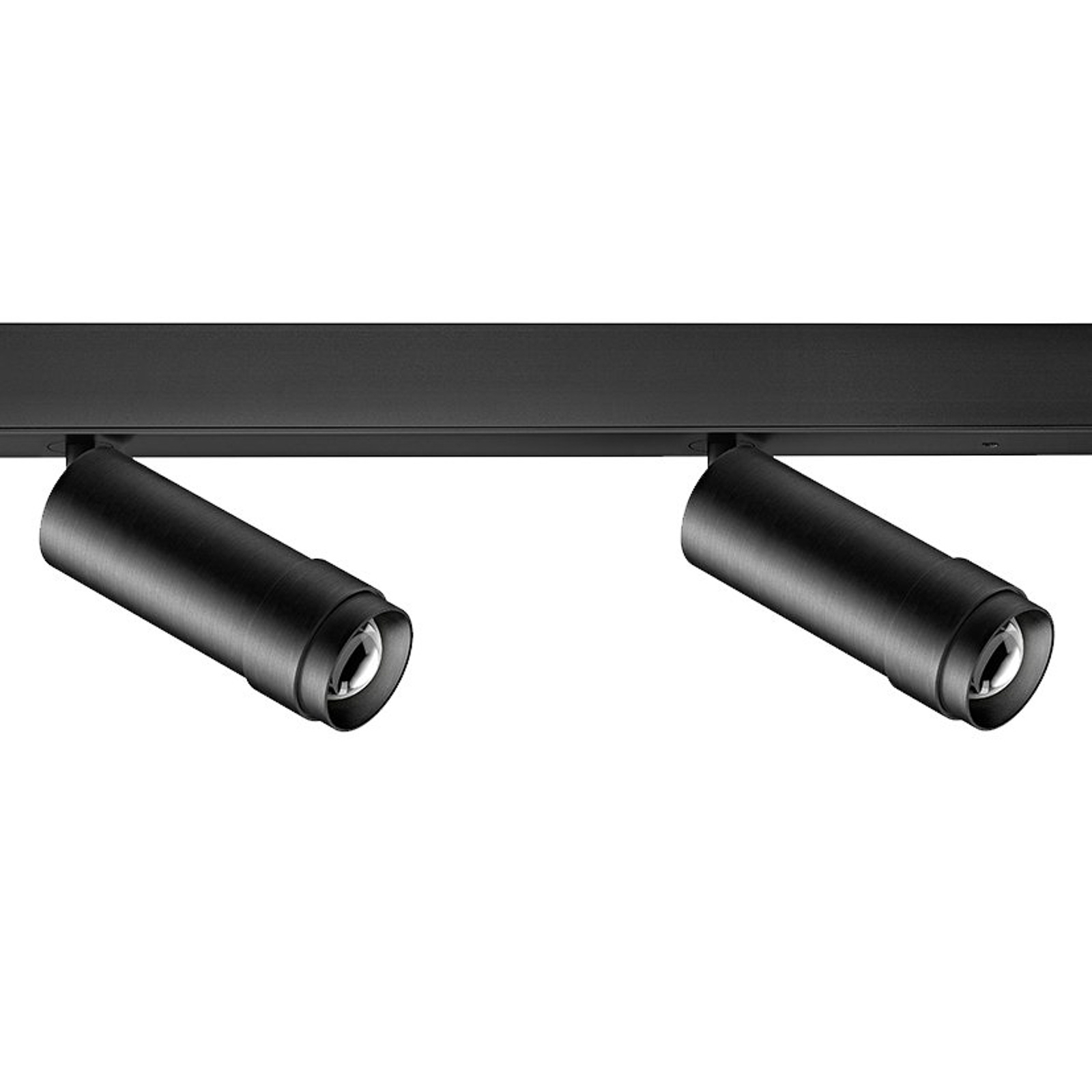 Ribag Vertico LED-Deckenstrahler 2-flammig, DALI