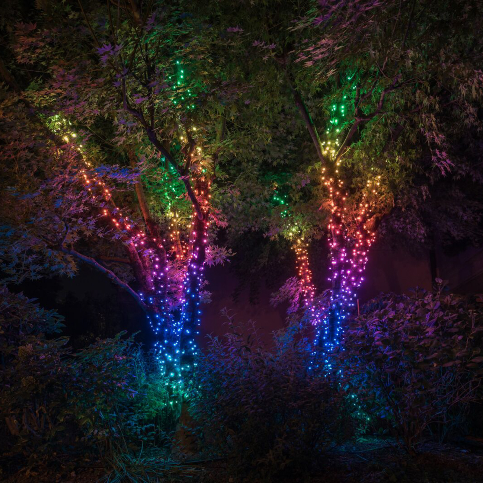 Cadena de luces Twinkly RGB, negro, 600 luces 48 m