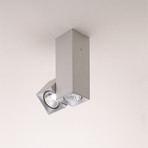 Milan Dau Spot ceiling light 2-bulb adjustable