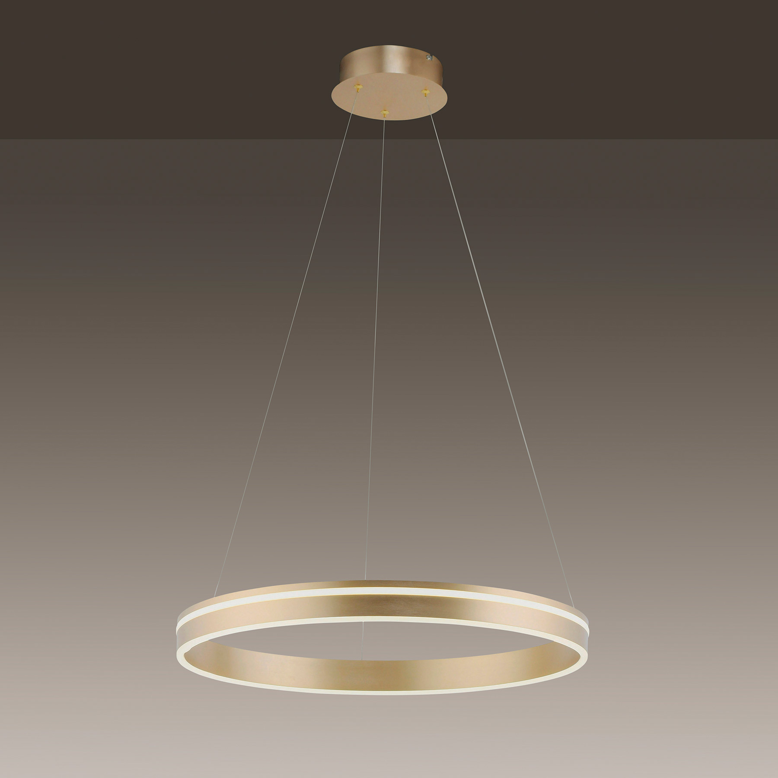 Paul Neuhaus Q-VITO lámpara colgante LED, 1 anillo