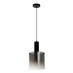 Sweden pendant light, 1-bulb, steel, glass, E27