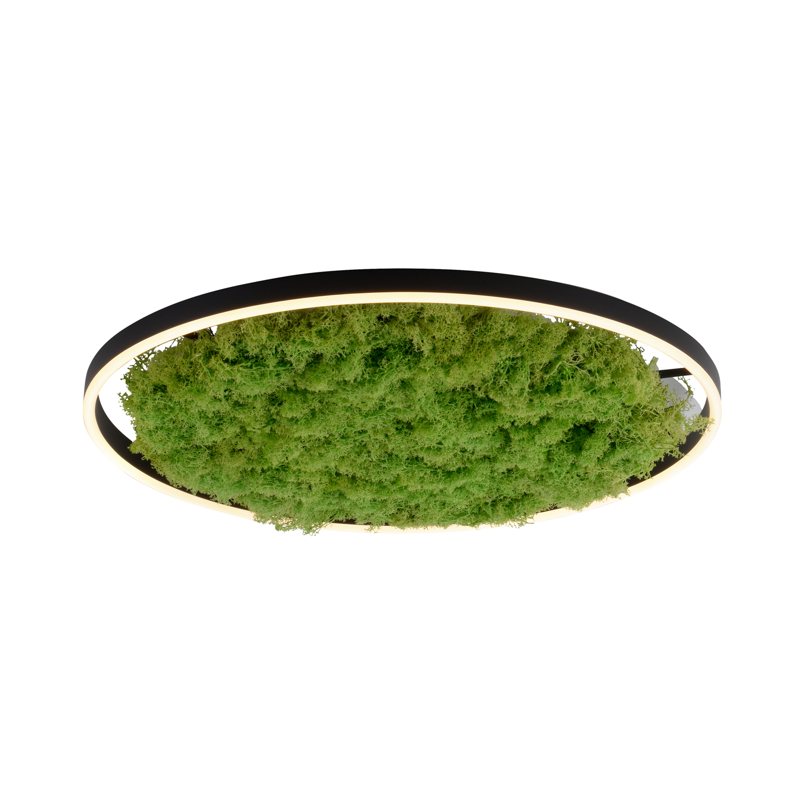 LED ceiling lamp Green Ritus, moss dimmable Ø58.5cm