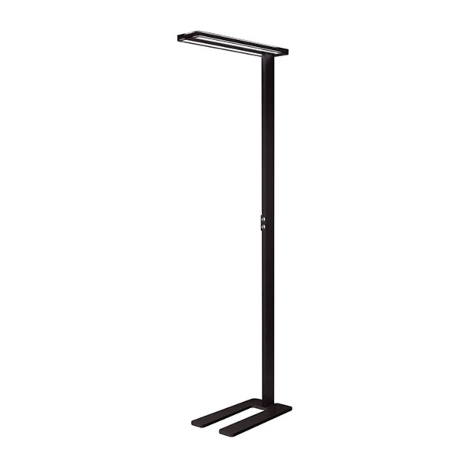 Image of Lampadaire LED Trentino II, dimmable, noir 4043544384591