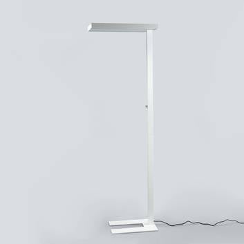 ELC Curina LED werkkamer-vloerlamp met dimmer, wit