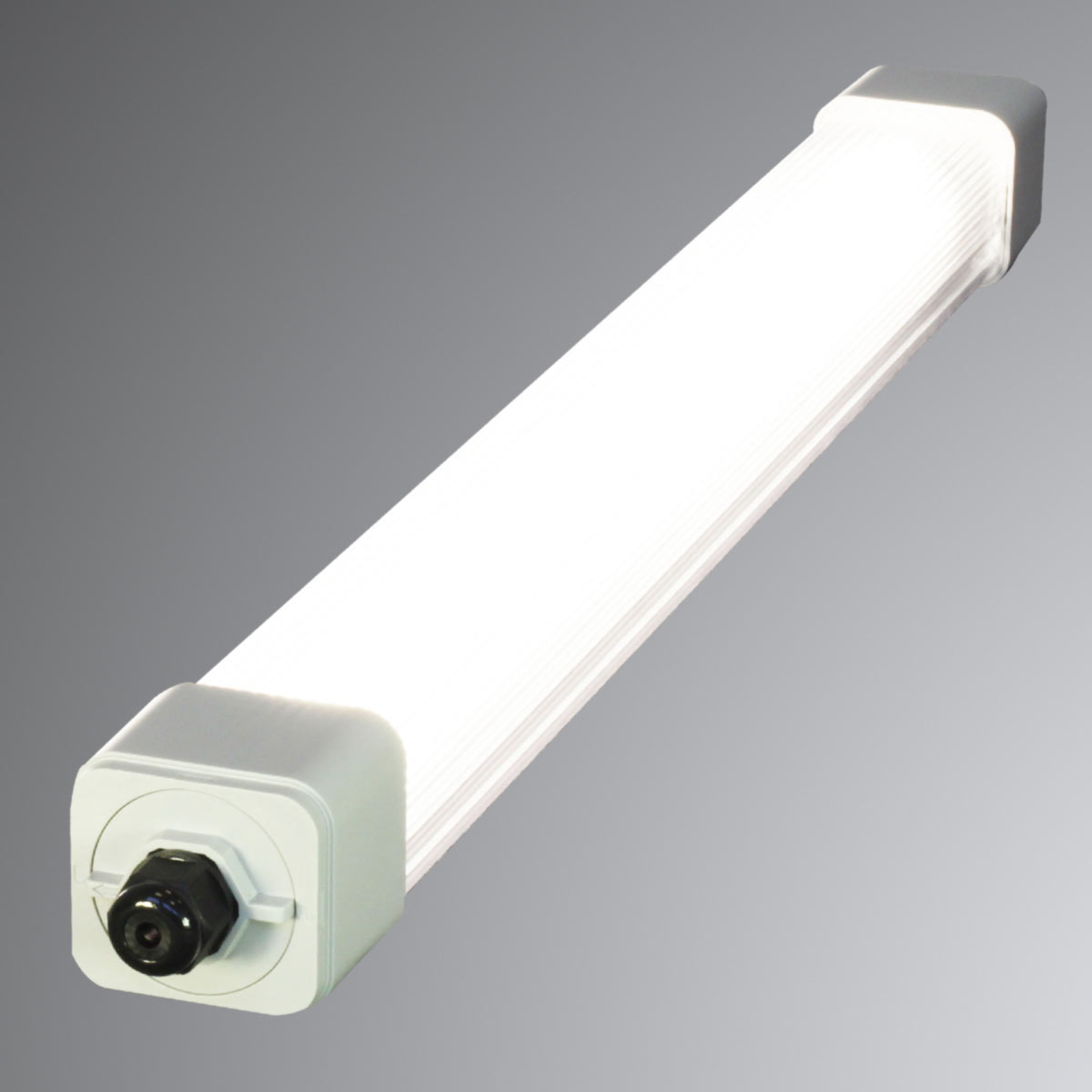 Megaman LED moisture-proof light Dino 2 67.2 cm, 19.5 W, polycarbonate, 19.5 W, energy efficiency: A+, L: 67.2 cm, W: 6.2 cm, H: 5.6 cm