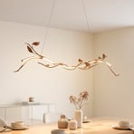 Aurelia LED pendant light, rust brown, metal, 2,700K, dimmable