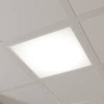 Arcchio LED vstavna plošča Vinas, 3.000 K, 62 cm x 62 cm