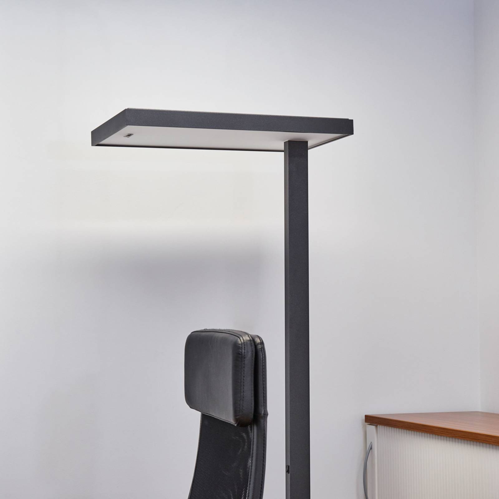 Lenneper Toimiston LED-lattiavalaisin Lola, 4 000 K, Dali - lattiavalaisin myymälä & toimisto - toimistovalaisin - lamppu Työhuone/toimisto antrasiitti RAL 7016, kirkas