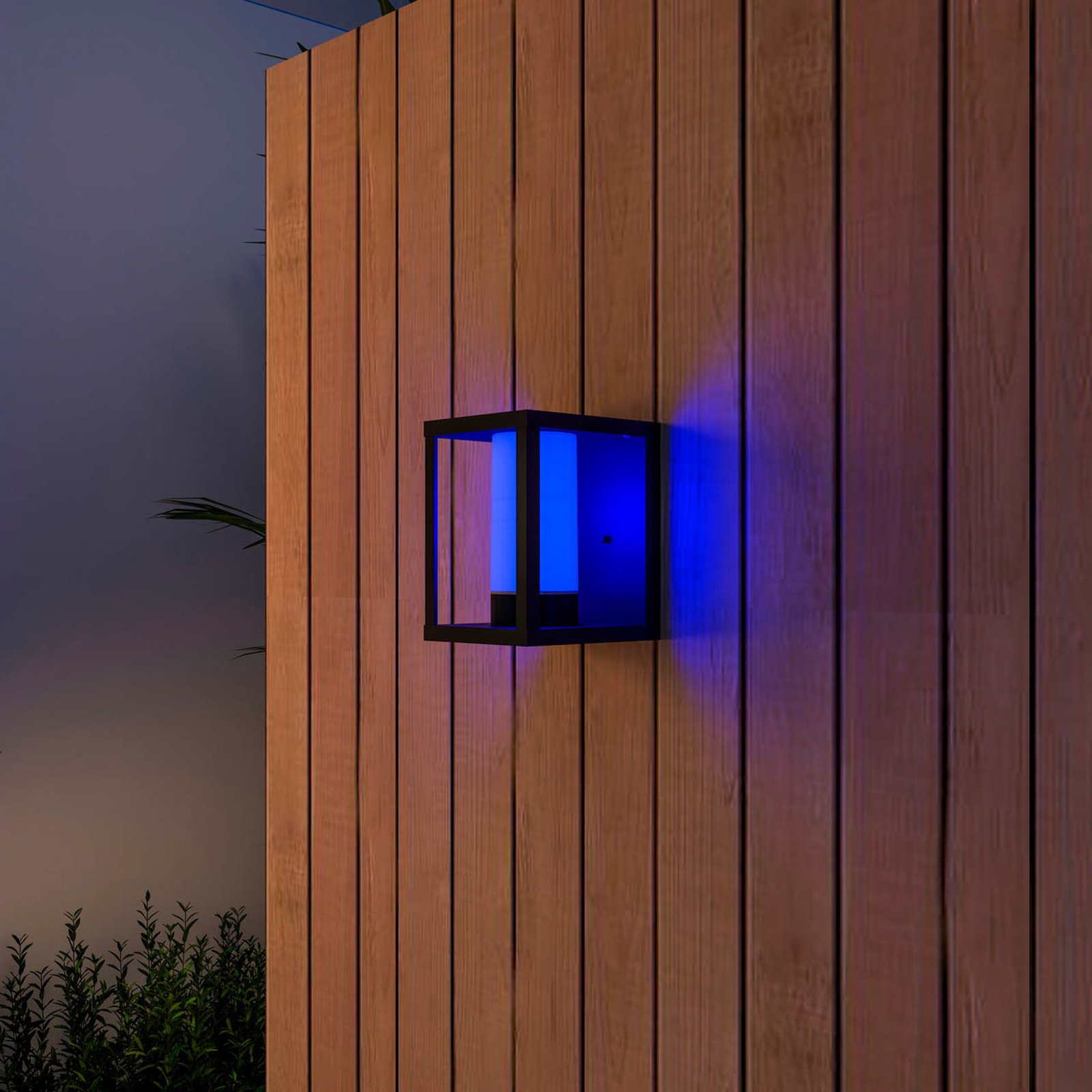 Calex Smart Outdoor Lantern -seinävalaisin CCT/RGB