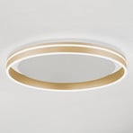 Paul Neuhaus Q-VITO LED ceiling lamp, matt brass