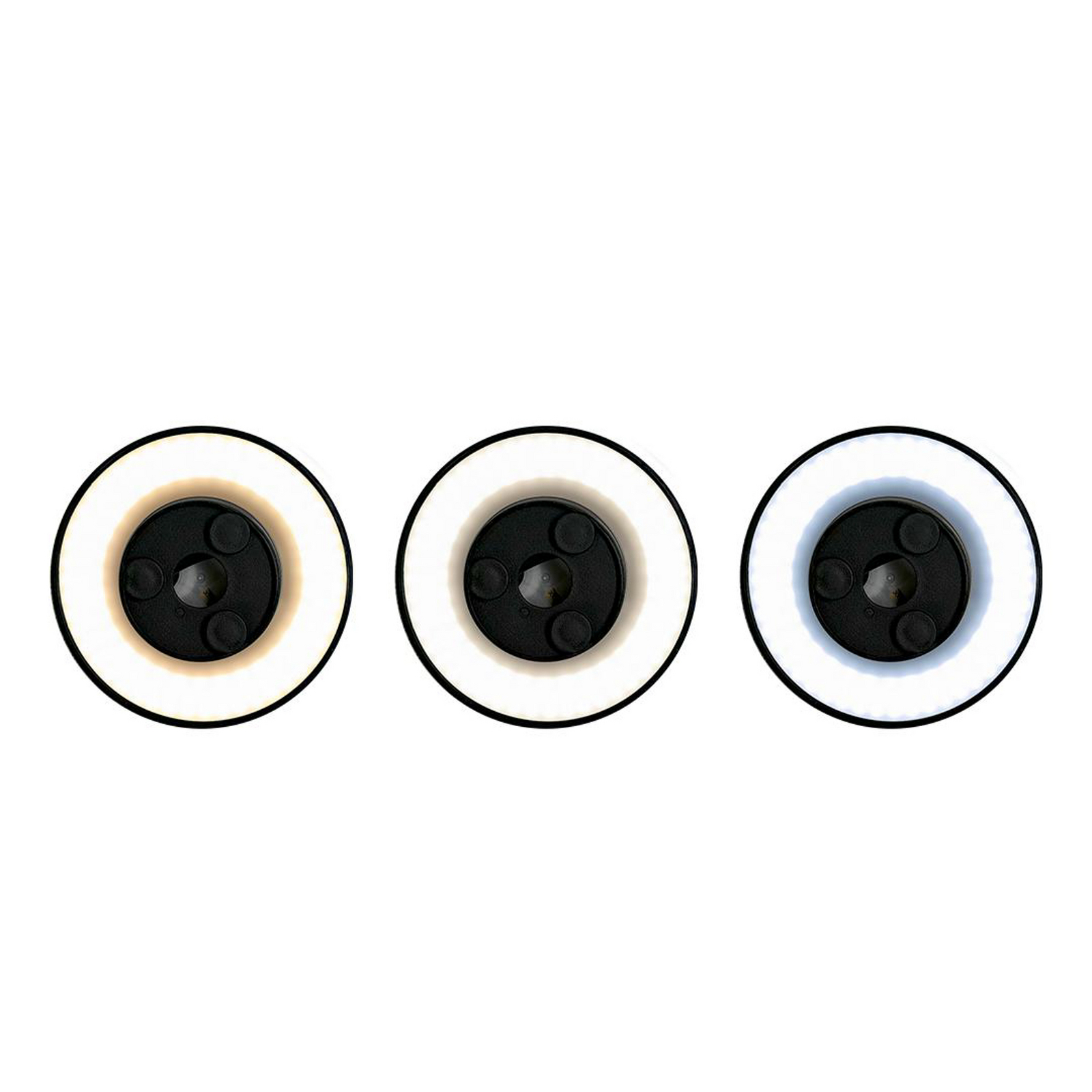 LED-Wandleuchte Disk, Ø 25cm, schwarz, Kunststoff, IP65, CCT