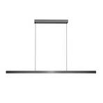 Edge Linear S2000 Lustră Pendul Titanium - LIGHT-POINT