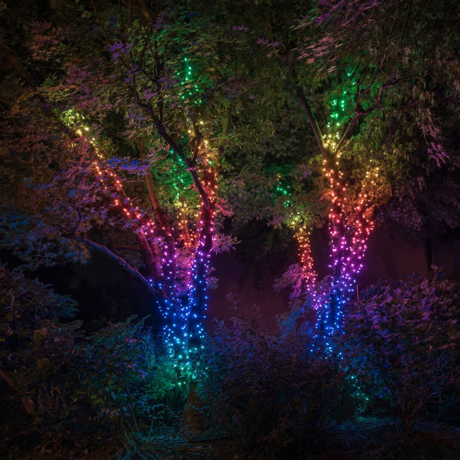 Cadena de luces Twinkly RGB, negro, 400 luces 32 m