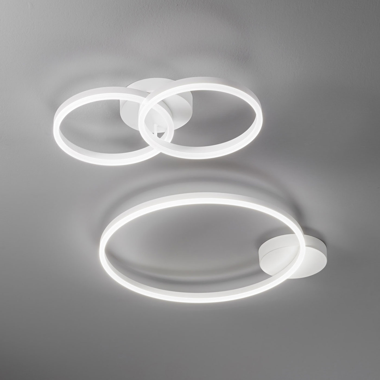 Giotto LED-taklampe, med to lamper