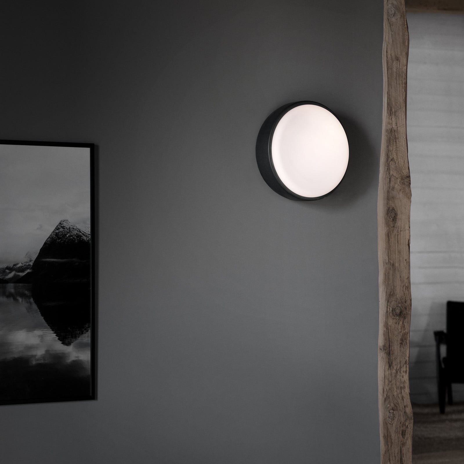 Northern Over Me plafonieră antracit 30 cm - Camera de zi / sufragerie - design - antracit opal - Metal