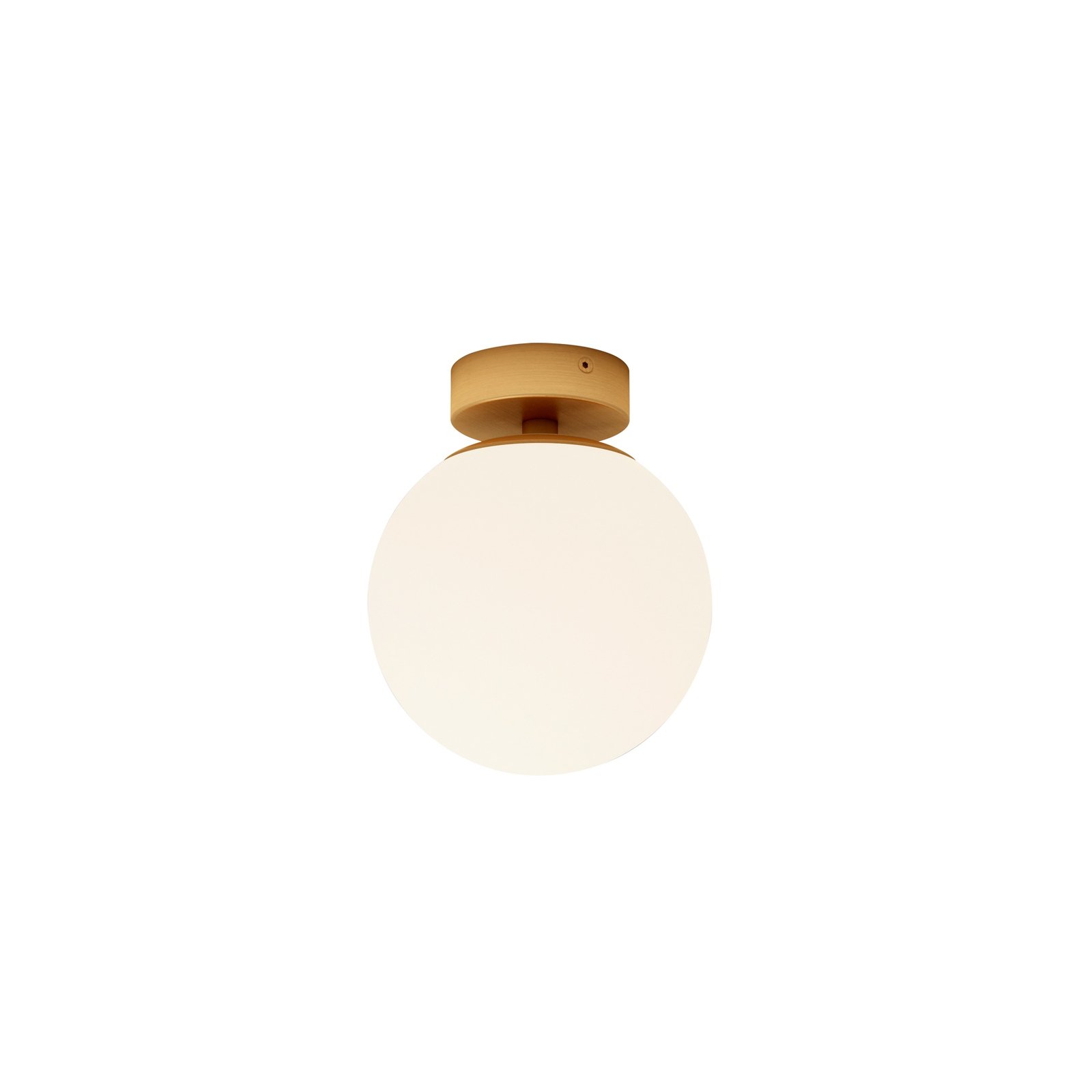 Lucande Bidolo ceiling lamp, brass-coloured, glass, 15 cm, IP44