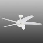 Westinghouse Bendan ventilatore a 5 pale bianco