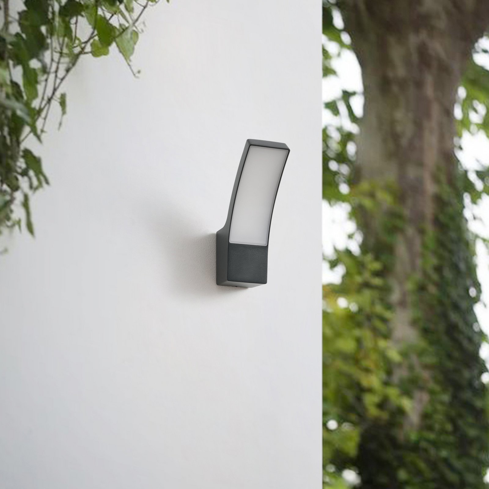 Applique d'extérieur LED Lindby Ilvita, anthracite, métal, IP54